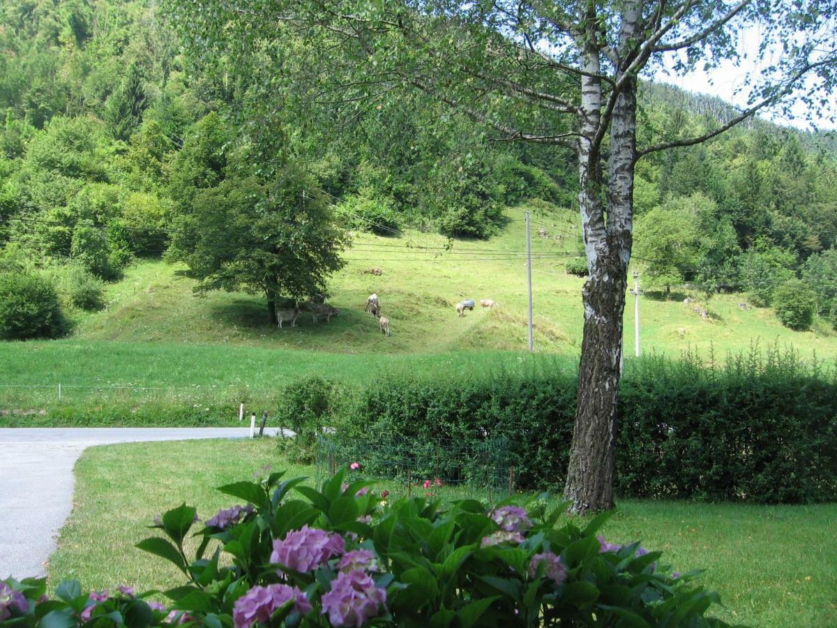 Villa Vrata Pri Cepovanu Extérieur photo
